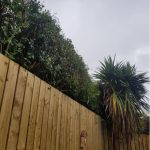 Powerwashing & Landscaping | Pressure Washing Service | Ground Maintenance | Property Maintenance | Ballyclare | Templepatrick | Northern Ireland | CDC Services NI